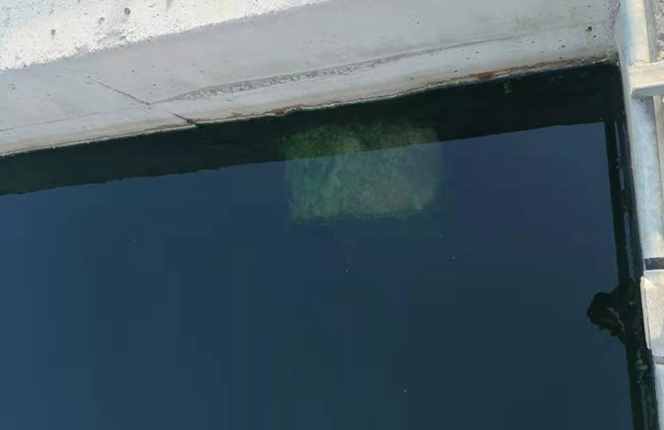 QQ圖片20230221103847