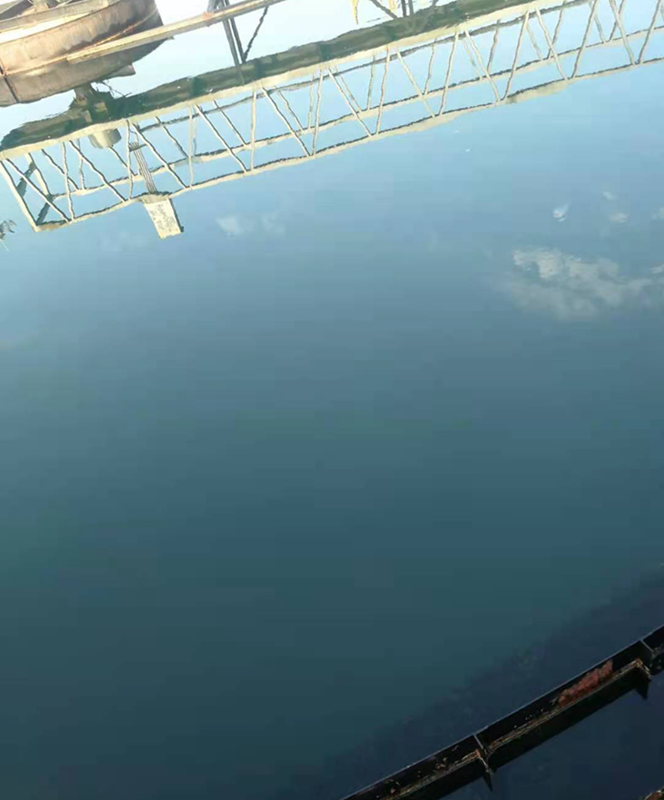 QQ圖片20230221103945